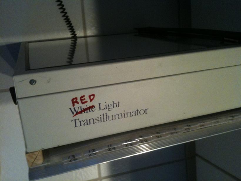 Red Light Transilluminator.jpg
